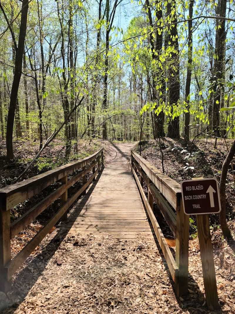 This Georgia Canyon Trail Feels Like A Desert Adventure In The Deep South - Decor Hint The Surprising Origin Story