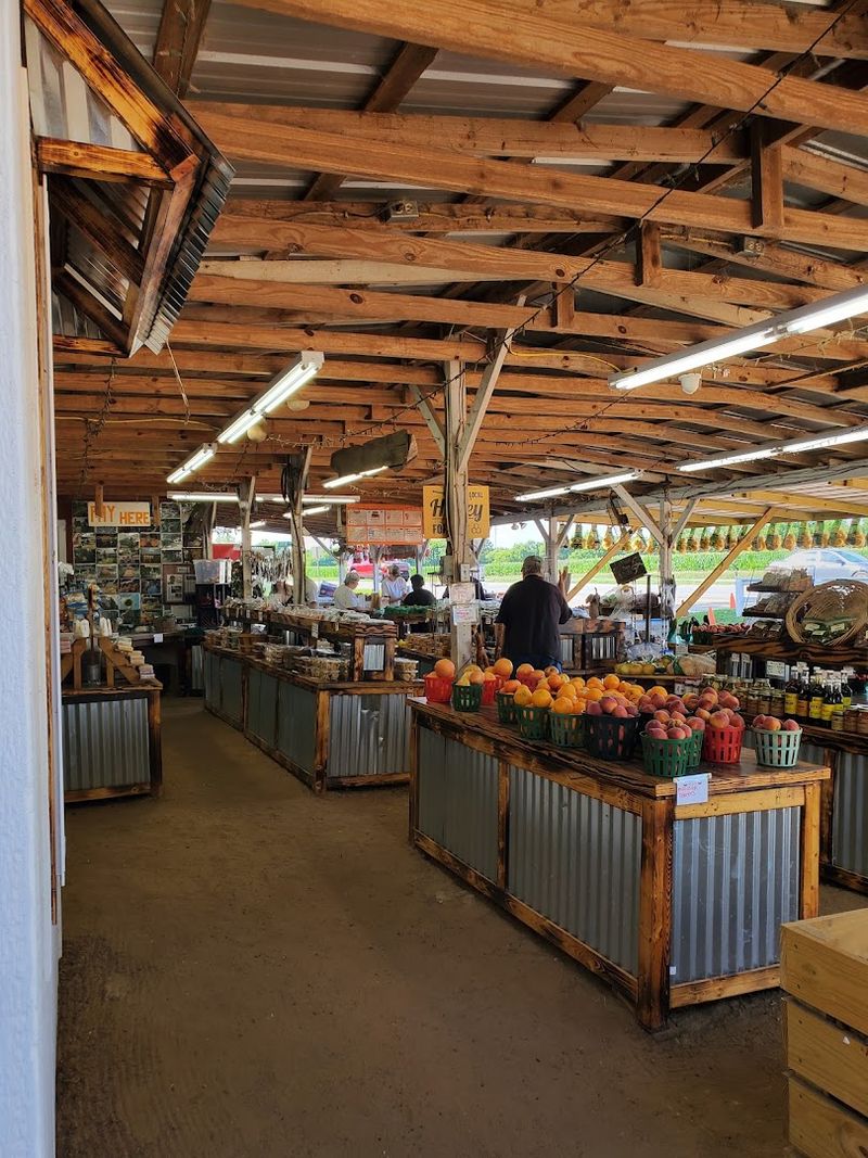 These 11 Georgia Peach Stops Are The Sweetest Reason To Hit The Road - Decor Hint Mark's Melon Patch, Dawson