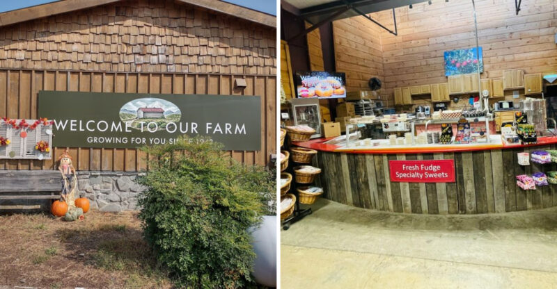 Georgia Residents Can’t Get Enough Of The Delicious Fried Pies At This Cozy Orchard Café