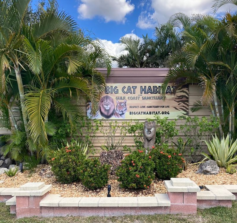 A Sanctuary With A Powerful Story