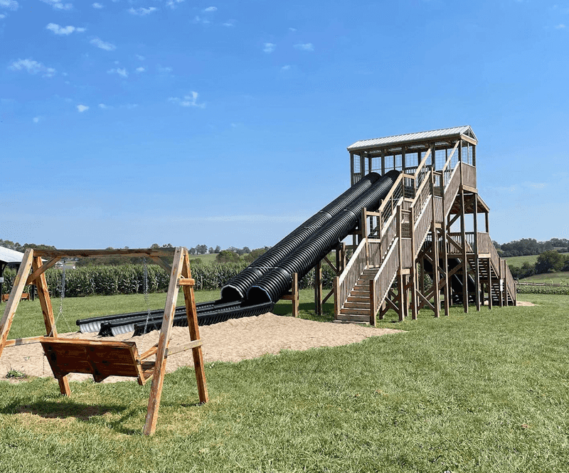 What To Bring Along For A Great Farm Visit