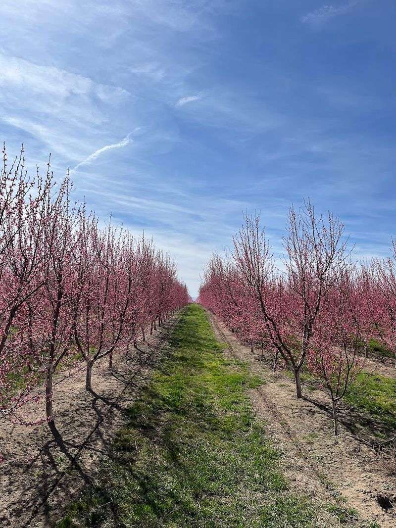 Fall Season Surprises At The Farm