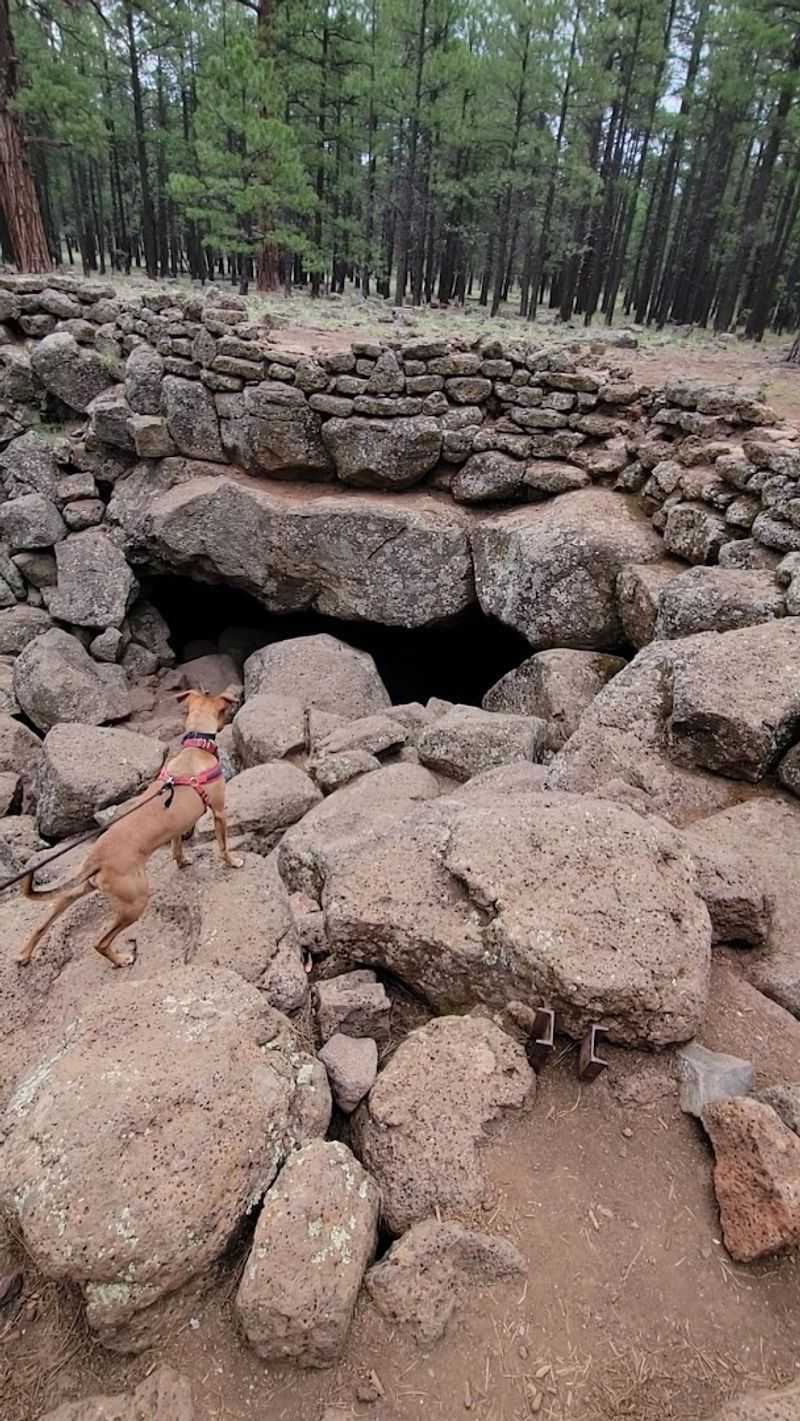 You'll Want To Experience This One-Of-A-Kind Underground Hike In Arizona - Decor Hint The Cave Entrance Will Surprise You