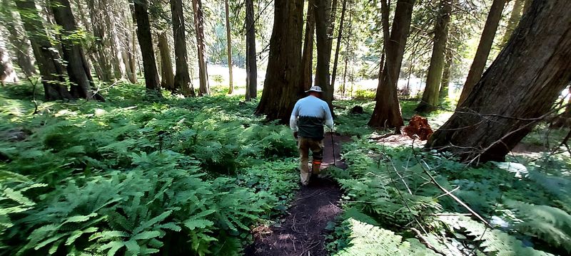 DeVoto Memorial Cedar Grove Trail