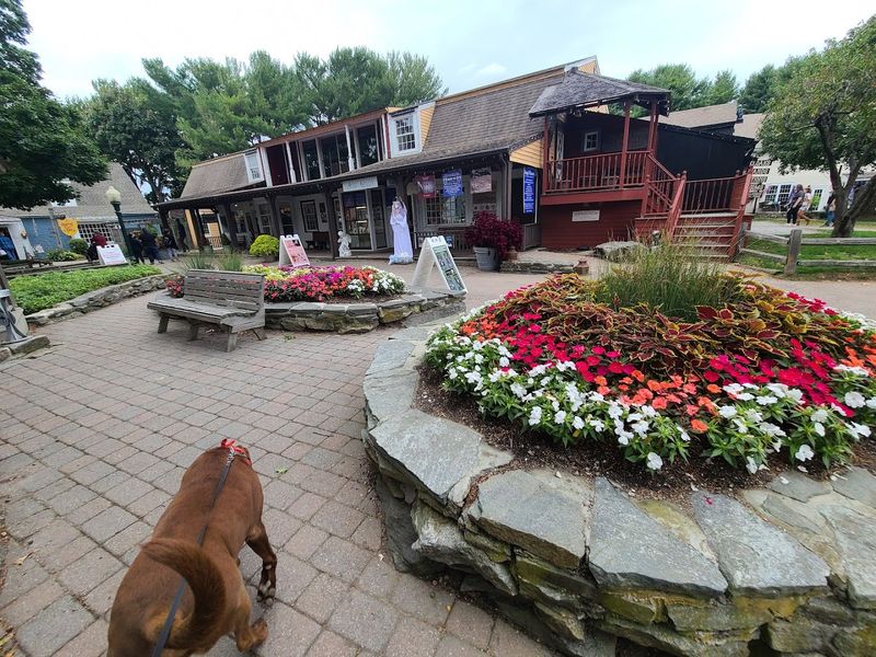 11 Pet-Friendly Places In Connecticut Perfect For A Weekend Adventure - Decor Hint Olde Mistick Village, Mystic