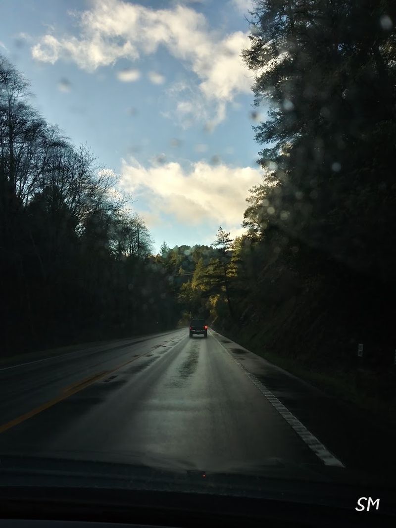 You Can Enjoy All 9 Of These California Road Trips Without Breaking The Bank - Decor Hint Redwood Highway From Eureka To Crescent City