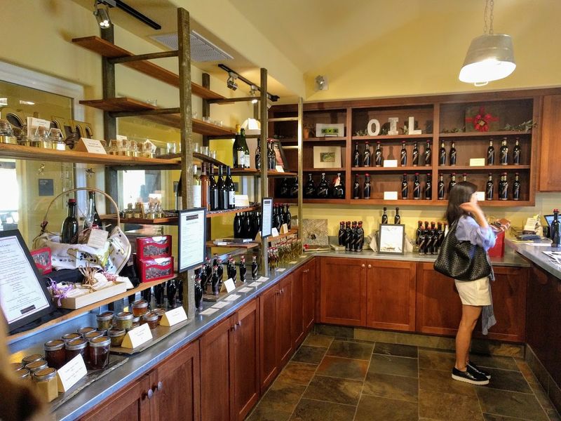 12 Northern California Factory Tours Built For A Fun Behind-The-Scenes Day Trip - Decor Hint Il Fiorello Olive Oil Company Grove & Mill Tour, Fairfield, California