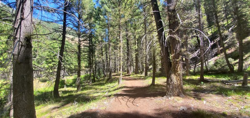 Murdock Creek Trail