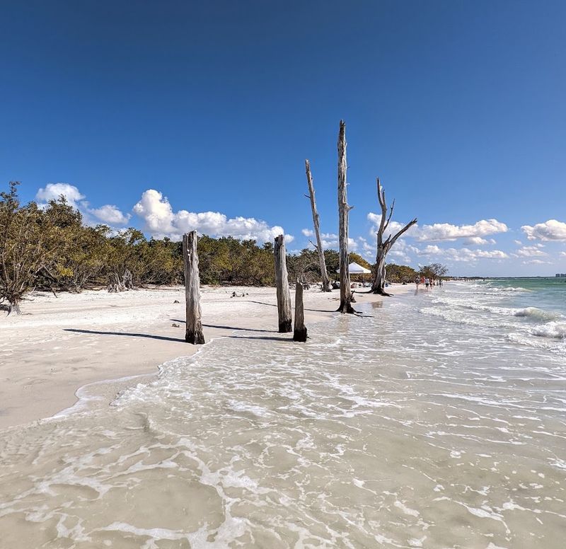 13 Florida Hikes Under Five Miles That Reward You With Amazing Views - Decor Hint Black Island Trail, Lovers Key State Park, Fort Myers Beach