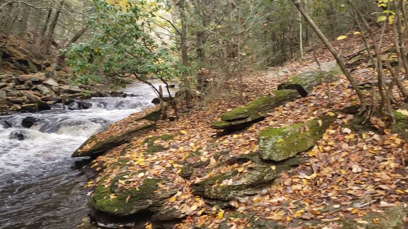 Autumn Color Transforms The Forested Miles