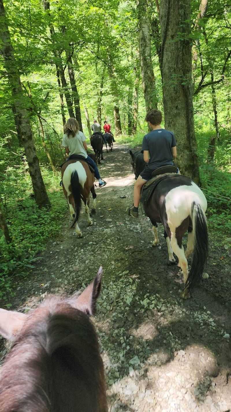By The Return Ride, The Whole Detour Feels Worth It