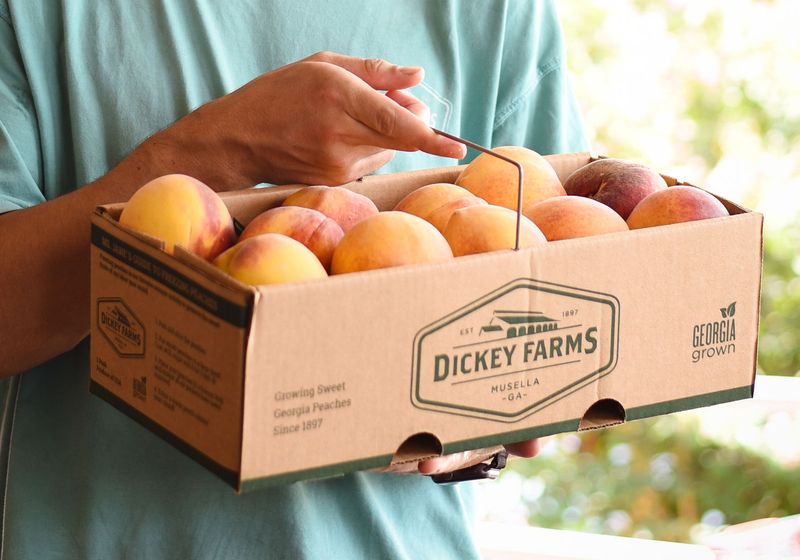 12 Georgia Fruit Farms That Are Perfect For A Sunny Day Trip - Decor Hint Dickey Farms, Musella