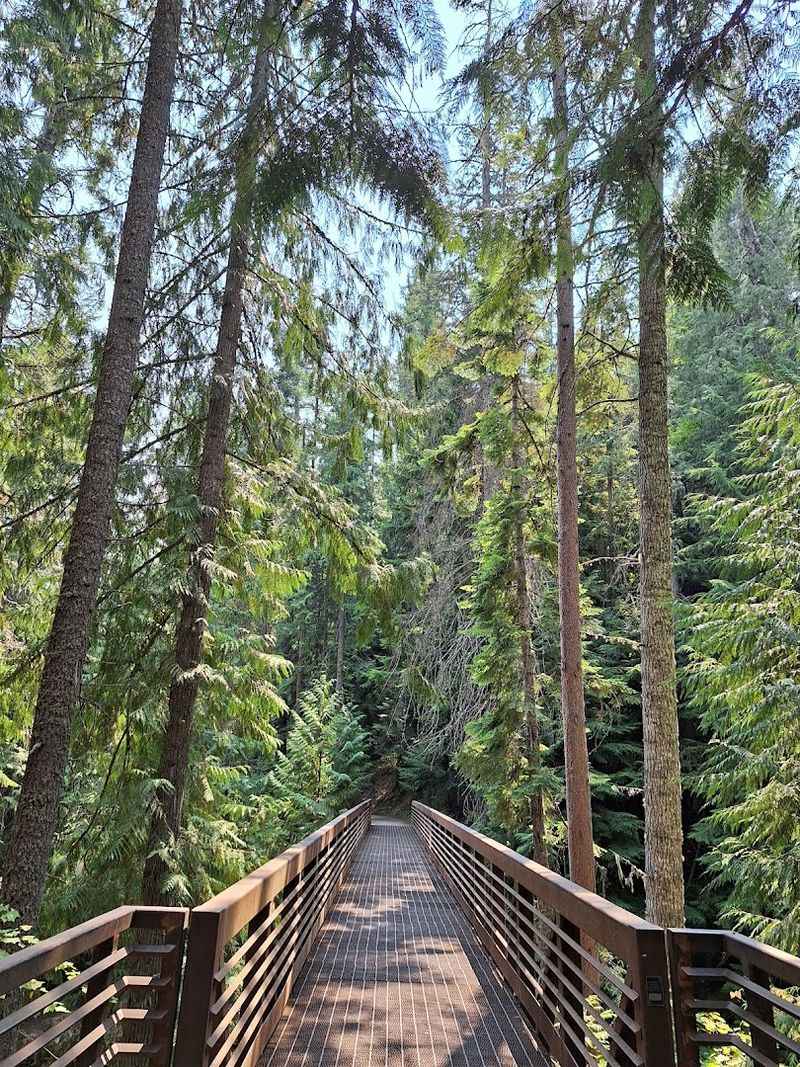 These 10 Idaho Waterfall Hikes Under Two Miles That Deliver Big Canyon Drama Fast - Decor Hint Myrtle Falls Trail