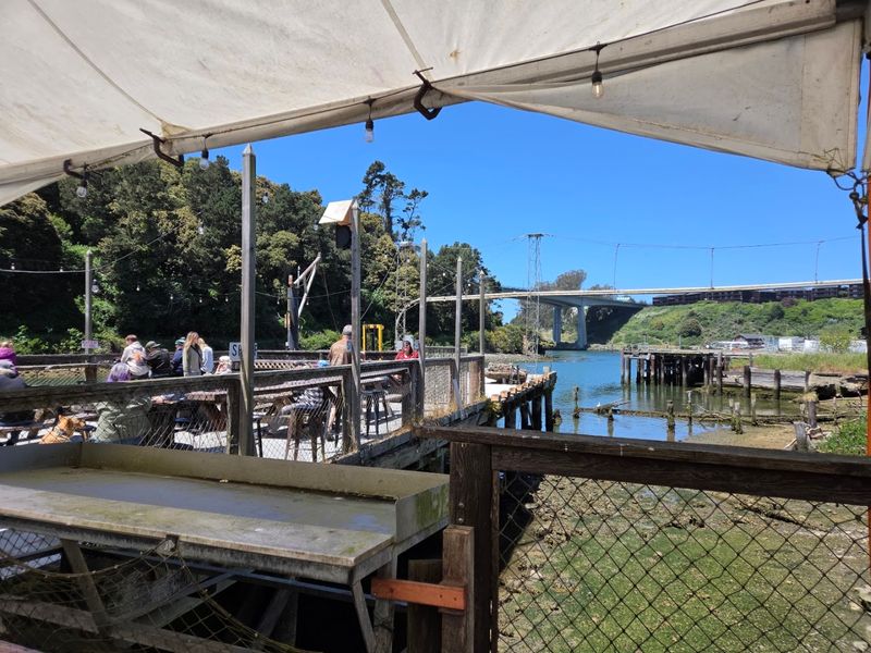 Sea Pal Cove, Fort Bragg