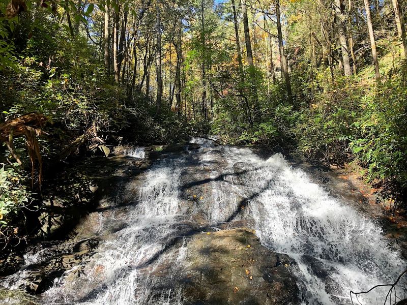 The 5,844-Acre Georgia State Park That So Many People Haven't Discovered - Decor Hint Why This Park Stays Peaceful Even When The Lot Is Full