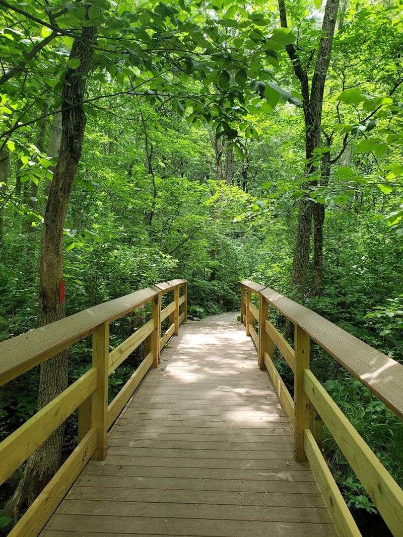 These 10 Beginner-Friendly Hiking Trails In Connecticut Are Worth Discovering This Year - Decor Hint Nature Trails At Dinosaur State Park, Rocky Hill