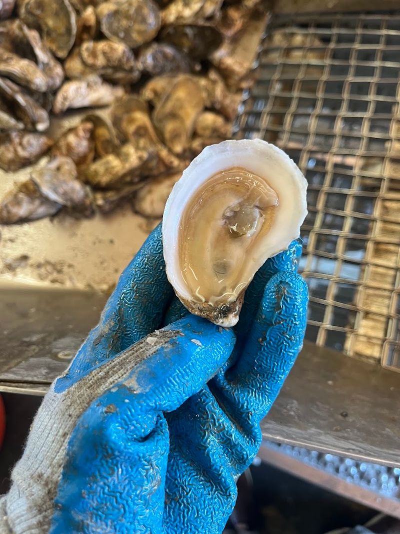 Lowcountry Oyster Co., Charleston
