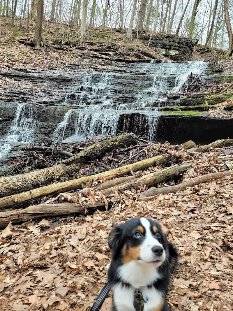 11 Pet-Friendly Places In Connecticut Perfect For A Weekend Adventure - Decor Hint Wadsworth Falls State Park, Middletown