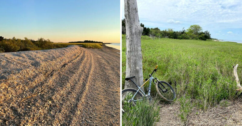 Head To This Underrated Georgia Beach For An Incredible Fossil Hunting Adventure