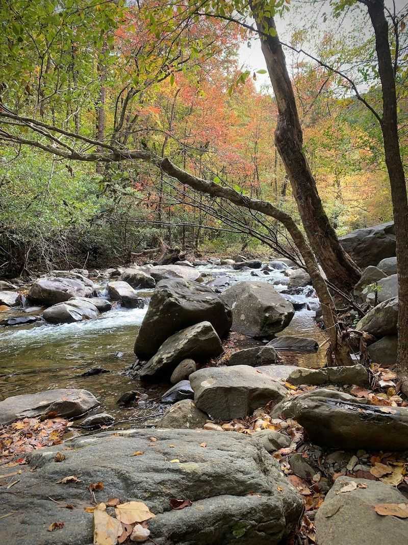 Holly Creek Picnic Area, Chatsworth