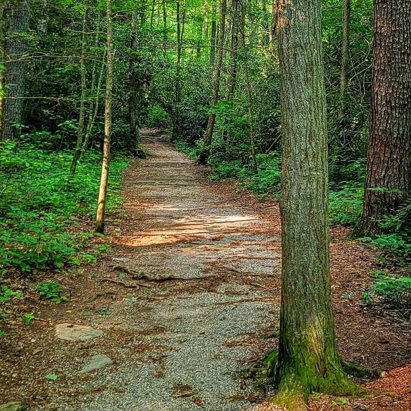 DeSoto Falls Trail, Cleveland