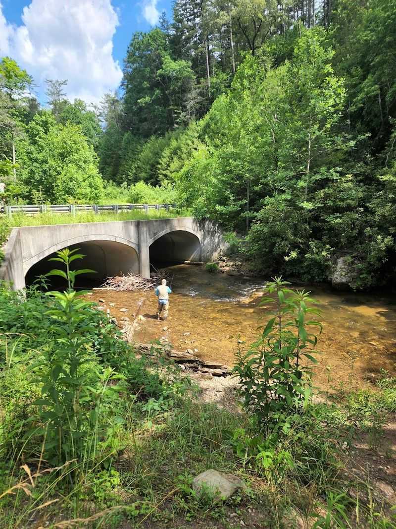 Cooper Creek Recreation Area, Suches