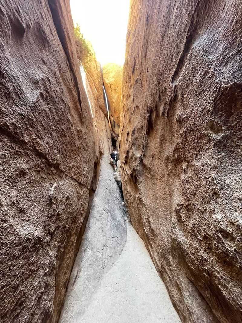 These 12 California Trails Lead To Giant Boulders, Slot Canyons, And Surreal Rock Formations - Decor Hint Hall of Horrors, Joshua Tree National Park