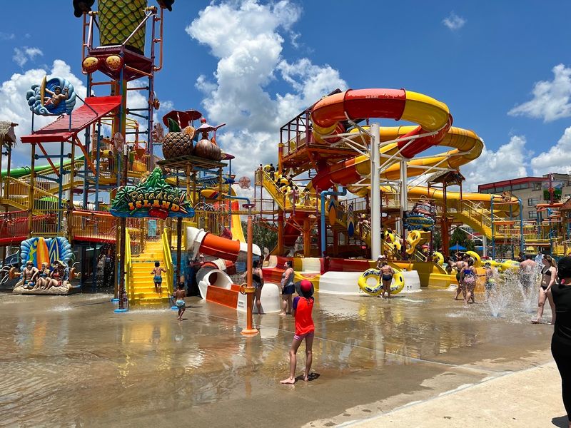 Little Surfer's Cove And The Full Attraction Lineup