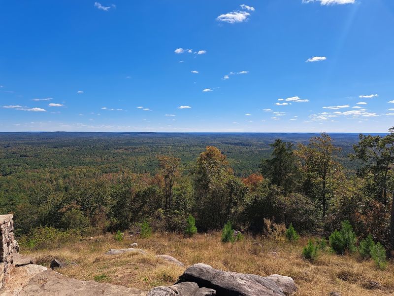 These 13 Dog-Friendly Campgrounds In Georgia You'll Want To Book - Decor Hint F.D. Roosevelt State Park, Pine Mountain