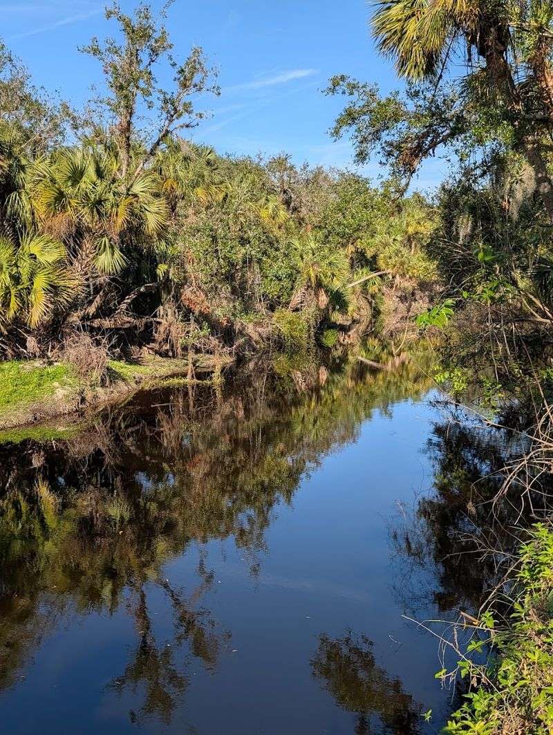 Myakka River State Park, Sarasota
