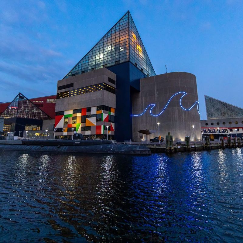 Explore The National Aquarium, Baltimore