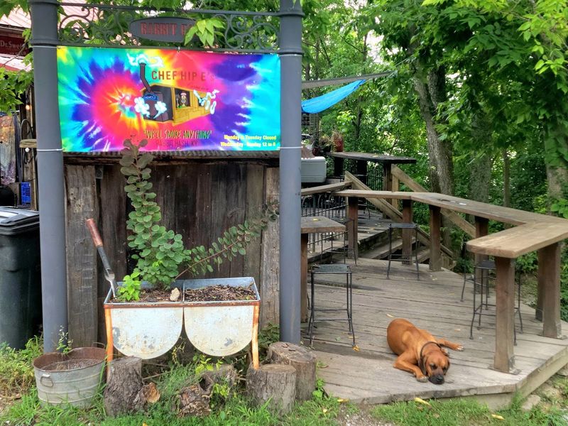 The Dog-Friendly Culture