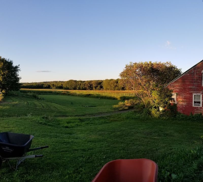 White Farm Protects Meadows And Rare Grassland Birds