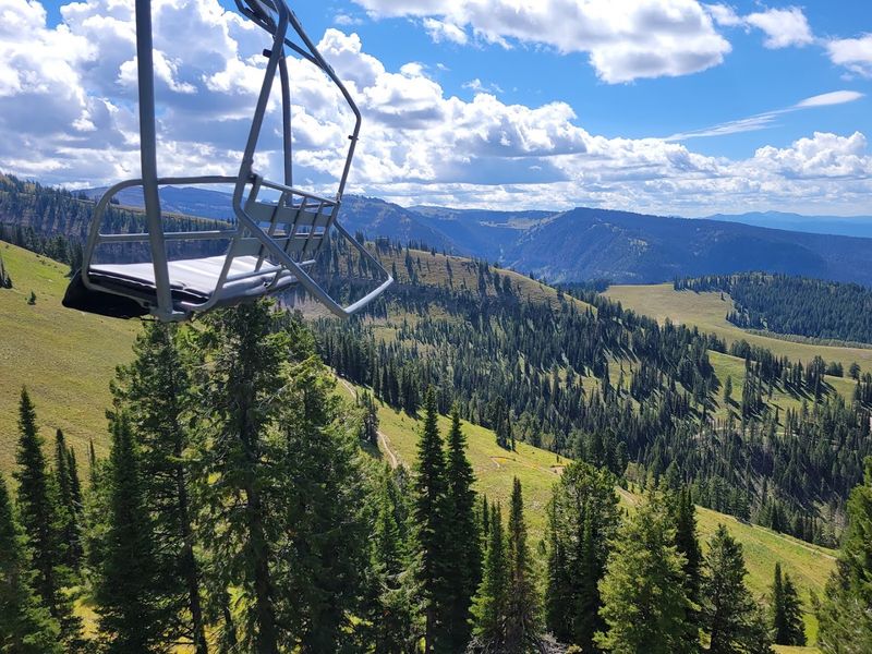 Outdoor Activities That Draw Crowds