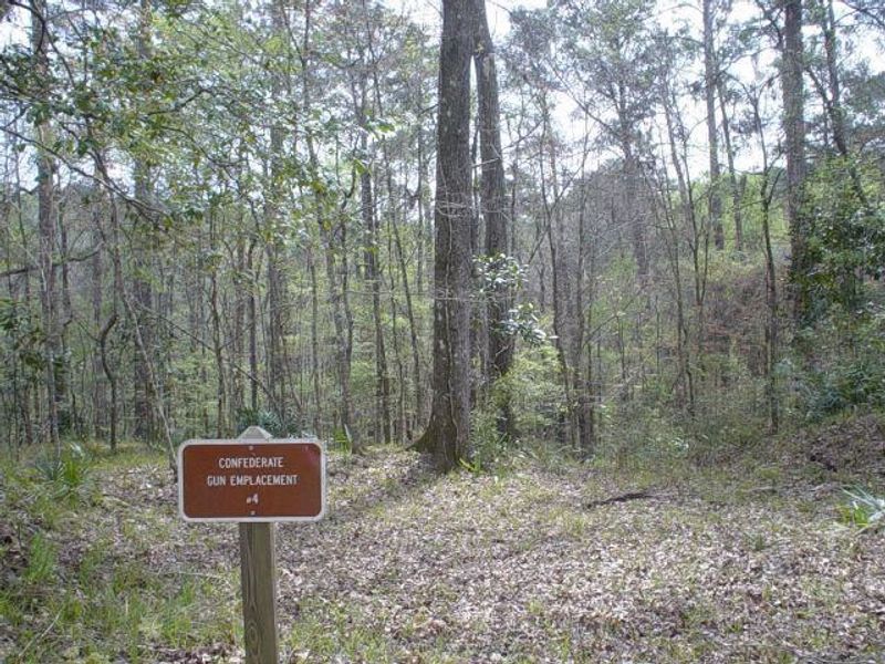 13 Florida Hikes Under Five Miles That Reward You With Amazing Views - Decor Hint Weeping Ridge & Bluff Loop, Torreya State Park, Bristol