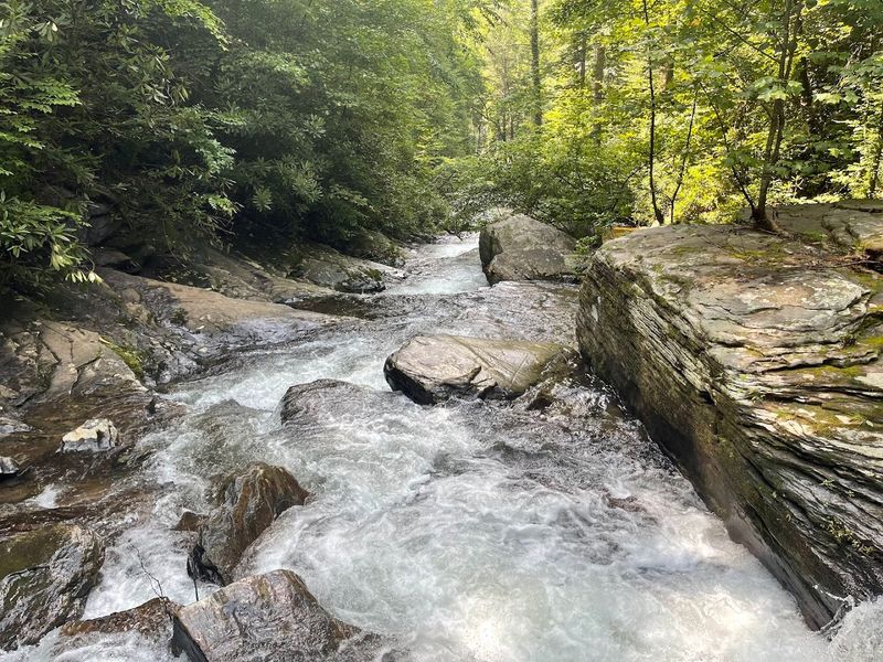 Dukes Creek Falls Is Worth Every Step