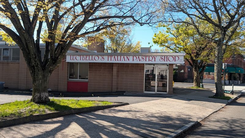 The Wooster Square Neighborhood 