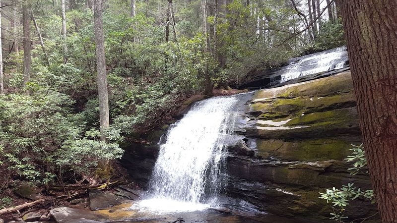 The Trails Are Showing Serious Signs Of Overuse