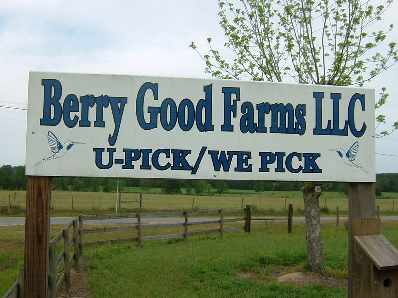 A Perfect Road Trip Stop Between Georgia And Florida