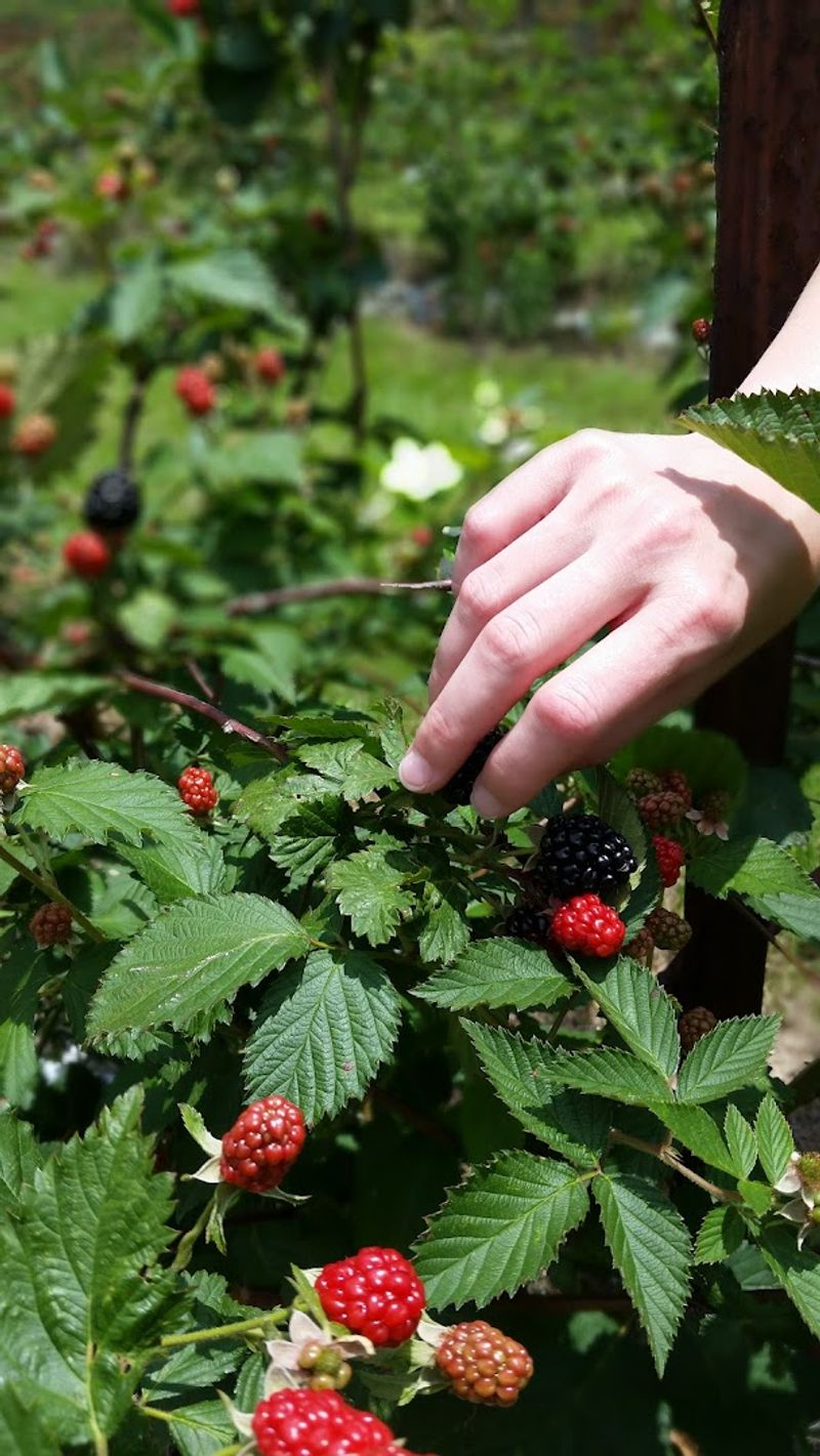 A Pesticide-Free Farm Families Can Feel Good About
