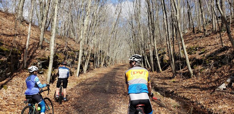 9 Of Connecticut's Longest Bike Trails With Surprisingly Beautiful Scenery - Decor Hint Natchaug State Forest Trail Network, Eastford
