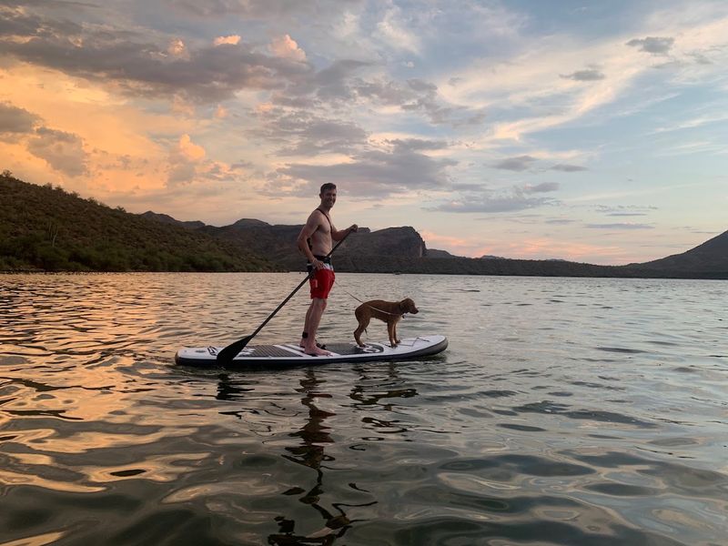 You Need To Experience This Arizona Nighttime Paddle At Least Once - Decor Hint The Magic Of Nighttime Paddling