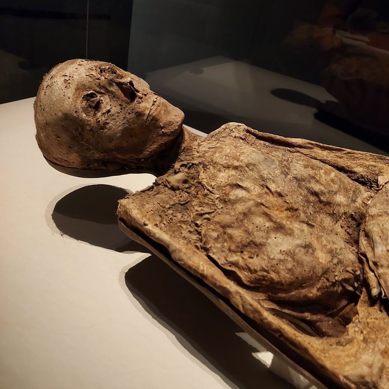 Inside The Mummy Exhibit