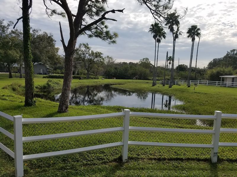 The Farm Setting That Surprises Everyone