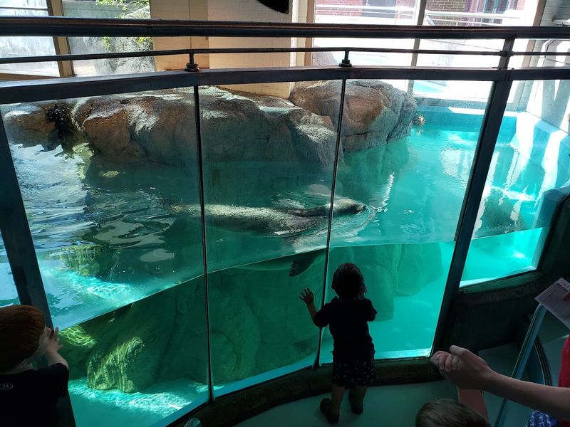 The Maritime Aquarium At Norwalk, Norwalk
