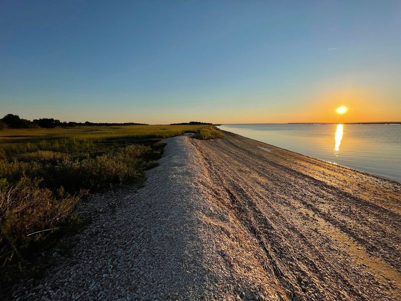Head To This Underrated Georgia Beach For An Incredible Fossil Hunting Adventure - Decor Hint Low Tide Turns This Shore Into A Whole New World
