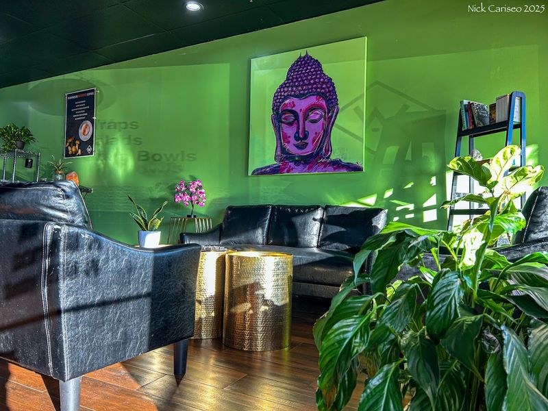 Wild Alchemy Cafe, Wallingford