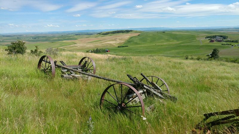 10 Idaho Outdoor Areas Where Visitors Should Stay Tick-Aware This Summer - Decor Hint Moscow / Palouse Woodland And Prairie-Edge Areas