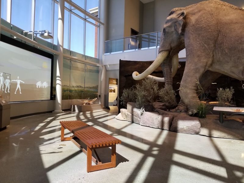 Museum Of Idaho