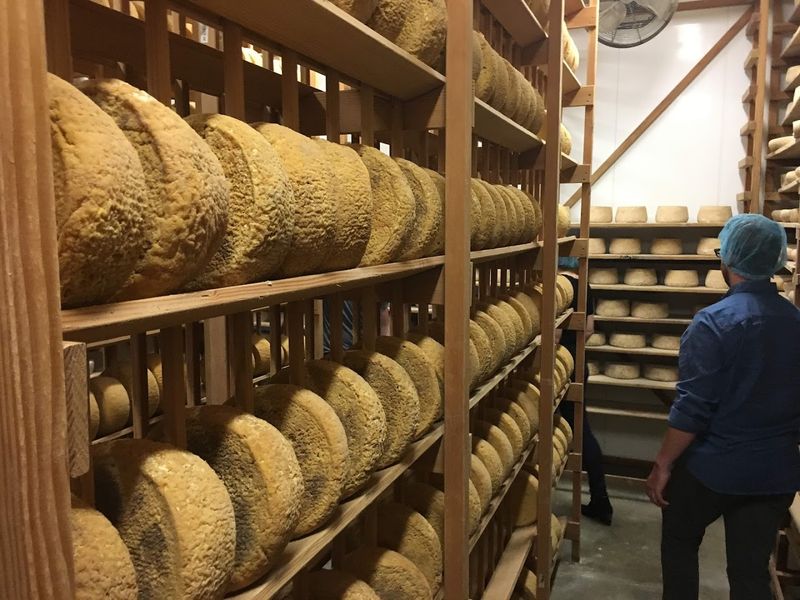 12 Northern California Factory Tours Built For A Fun Behind-The-Scenes Day Trip - Decor Hint Achadinha Cheese Company Ranch & Cheese Plant Tour, Petaluma, California